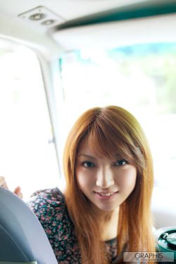 林肯律师